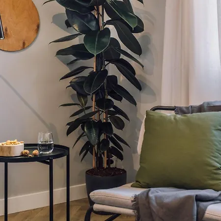 Apartamento Soconusco - 1 Bedroom And Balcony In Bairro Azul Lisboa